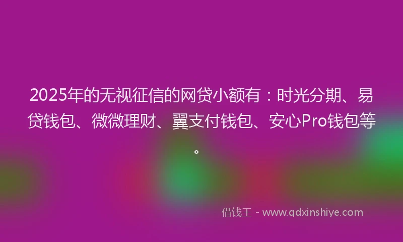 2025年的无视征信的网贷小额有：时光分期、易贷钱包、微微理财、翼支付钱包、安心Pro钱包等。