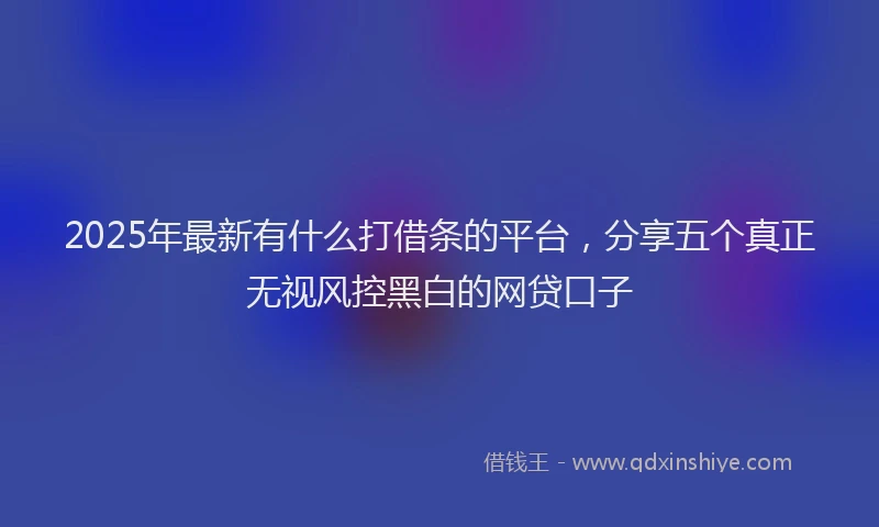 2025年最新有什么打借条的平台，分享五个真正无视风控黑白的网贷口子