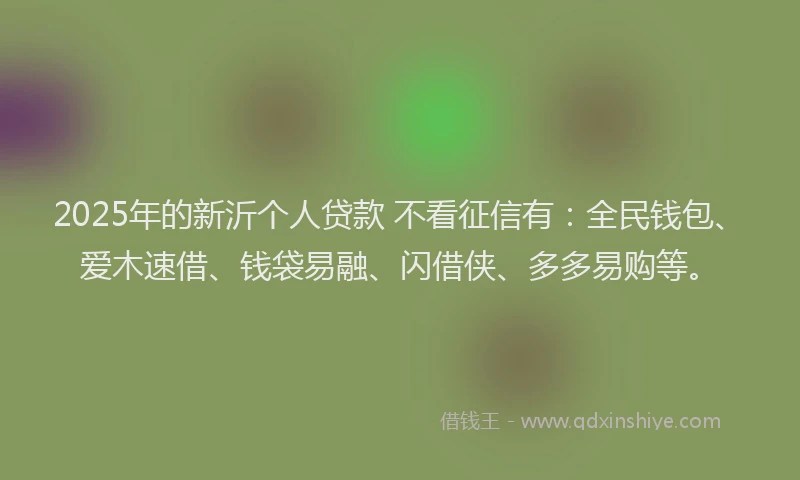 2025年的新沂个人贷款 不看征信有：全民钱包、爱木速借、钱袋易融、闪借侠、多多易购等。