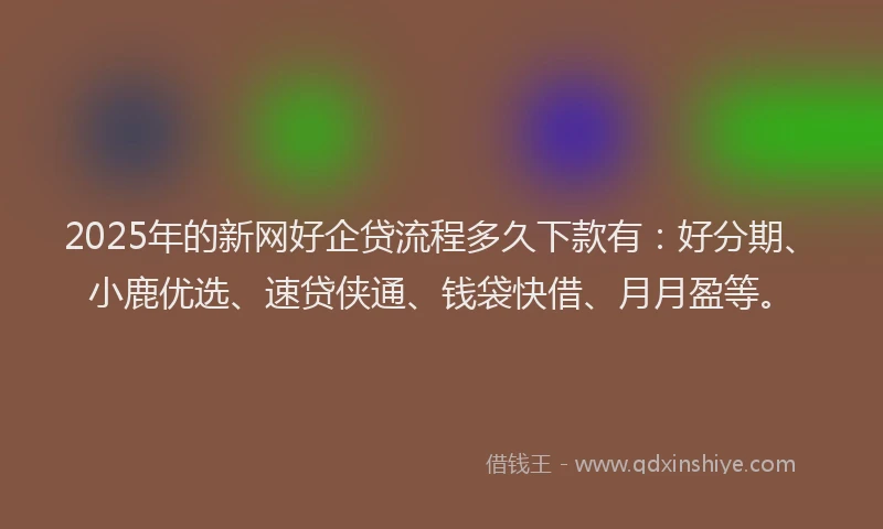 2025年的新网好企贷流程多久下款有：好分期、小鹿优选、速贷侠通、钱袋快借、月月盈等。