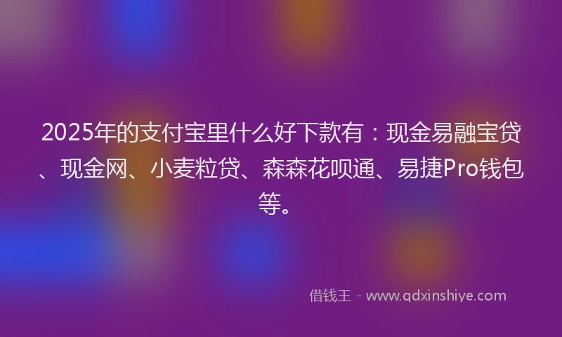 2025年的支付宝里什么好下款有：现金易融宝贷、现金网、小麦粒贷、森森花呗通、易捷Pro钱包等。