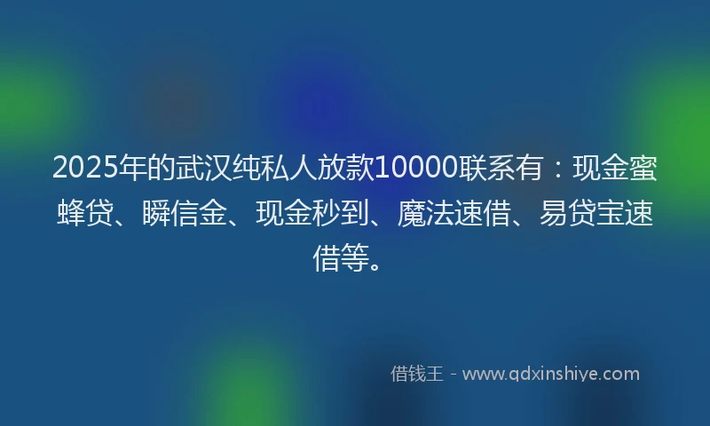 2025年的武汉纯私人放款10000联系有：现金蜜蜂贷、瞬信金、现金秒到、魔法速借、易贷宝速借等。