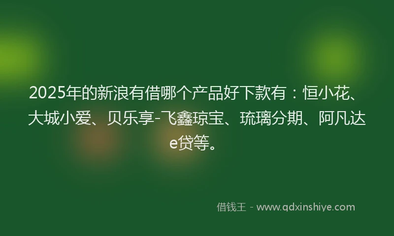 2025年的新浪有借哪个产品好下款有：恒小花、大城小爱、贝乐享-飞鑫琼宝、琉璃分期、阿凡达e贷等。