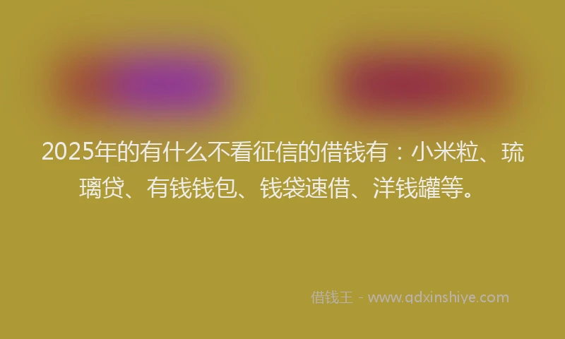 2025年的有什么不看征信的借钱有：小米粒、琉璃贷、有钱钱包、钱袋速借、洋钱罐等。