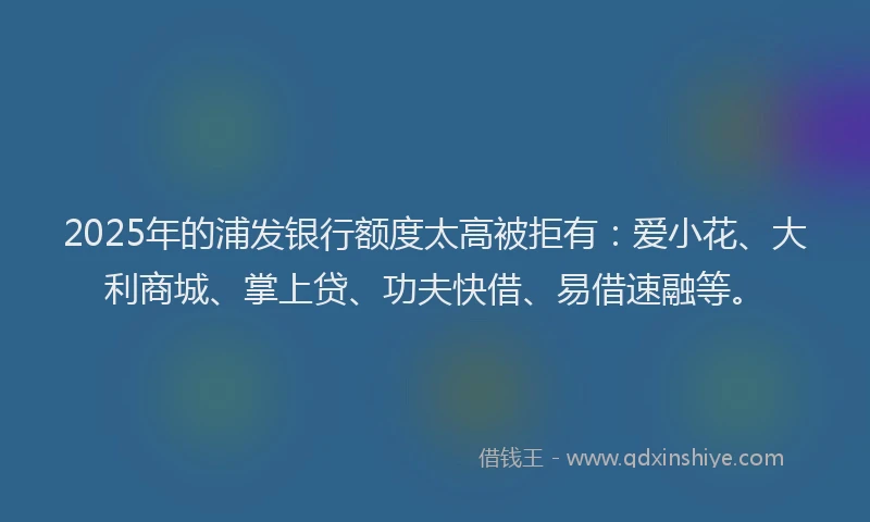 2025年的浦发银行额度太高被拒有：爱小花、大利商城、掌上贷、功夫快借、易借速融等。