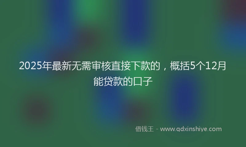 2025年最新无需审核直接下款的，概括5个12月能贷款的口子
