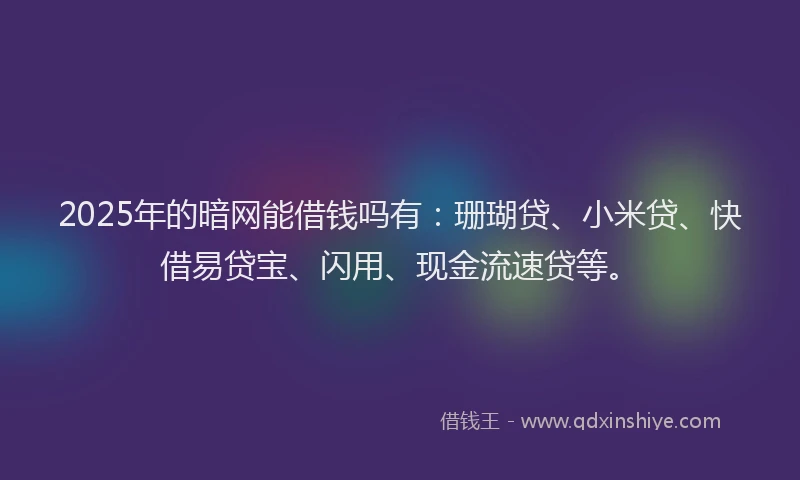 2025年的暗网能借钱吗有：珊瑚贷、小米贷、快借易贷宝、闪用、现金流速贷等。
