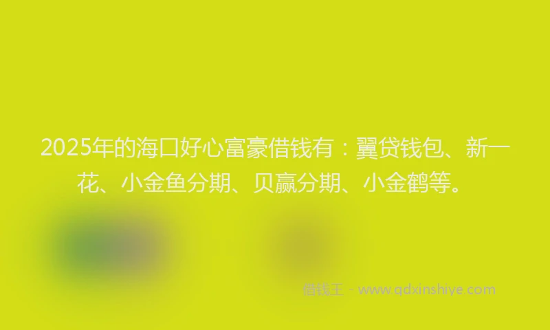 2025年的海口好心富豪借钱有：翼贷钱包、新一花、小金鱼分期、贝赢分期、小金鹤等。