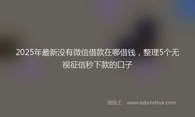 2025年最新没有微信借款在哪借钱，整理5个无视征信秒下款的口子