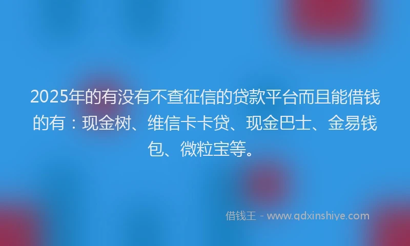 2025年的有没有不查征信的贷款平台而且能借钱的有：现金树、维信卡卡贷、现金巴士、金易钱包、微粒宝等。
