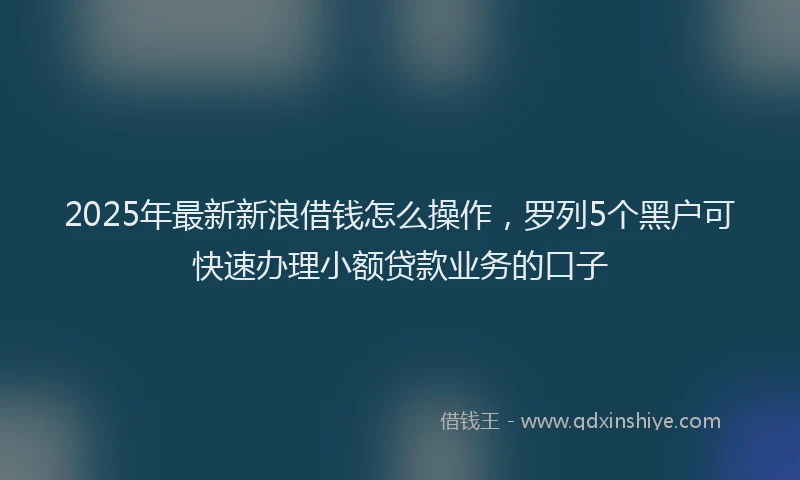 2025年最新新浪借钱怎么操作，罗列5个黑户可快速办理小额贷款业务的口子