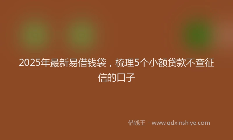 2025年最新易借钱袋，梳理5个小额贷款不查征信的口子