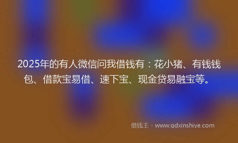 2025年的有人微信问我借钱有：花小猪、有钱钱包、借款宝易借、速下宝、现金贷易融宝等。