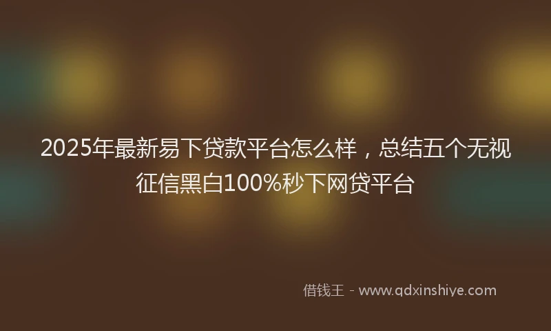 2025年最新易下贷款平台怎么样，总结五个无视征信黑白100%秒下网贷平台