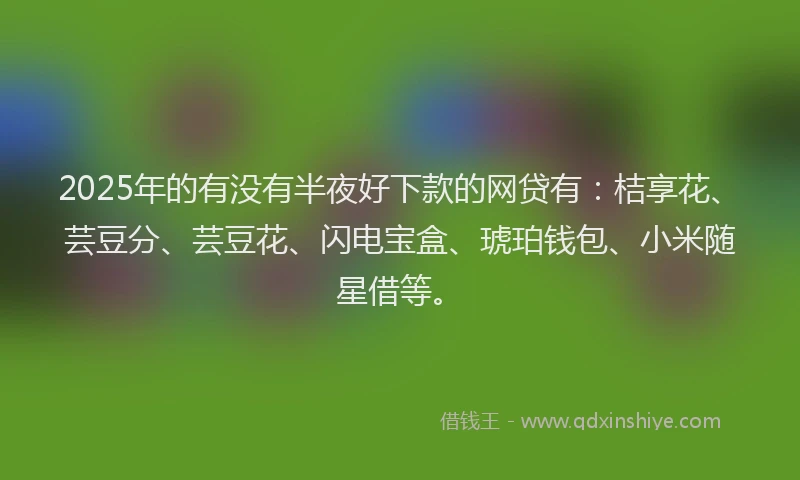 2025年的有没有半夜好下款的网贷有：桔享花、芸豆分、芸豆花、闪电宝盒、琥珀钱包、小米随星借等。