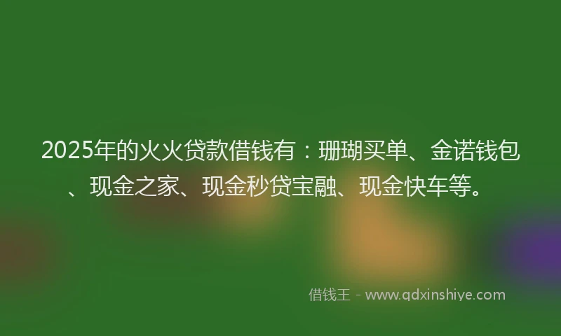 2025年的火火贷款借钱有：珊瑚买单、金诺钱包、现金之家、现金秒贷宝融、现金快车等。