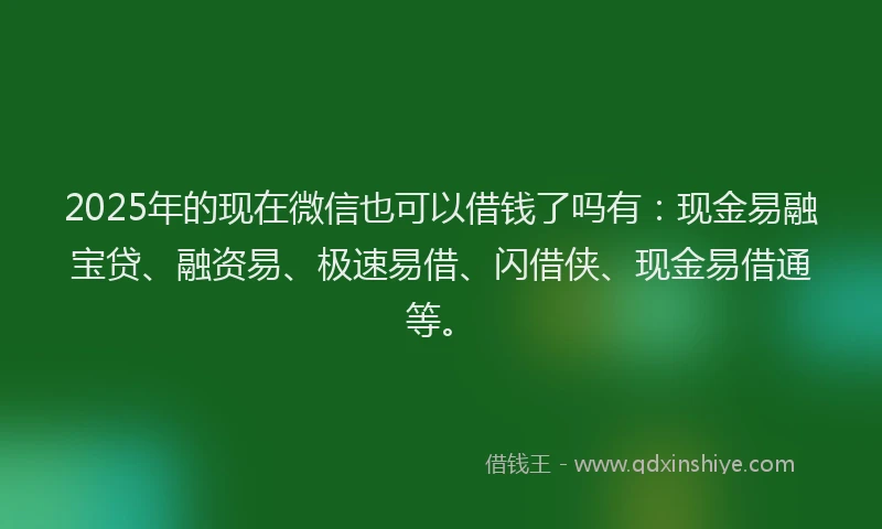 2025年的现在微信也可以借钱了吗有：现金易融宝贷、融资易、极速易借、闪借侠、现金易借通等。