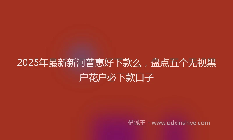2025年最新新河普惠好下款么，盘点五个无视黑户花户必下款口子