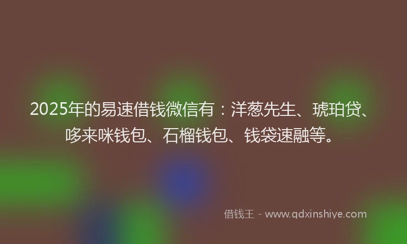 2025年的易速借钱微信有：洋葱先生、琥珀贷、哆来咪钱包、石榴钱包、钱袋速融等。