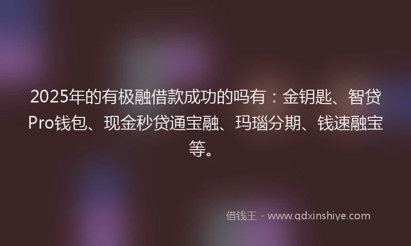 2025年的有极融借款成功的吗有：金钥匙、智贷Pro钱包、现金秒贷通宝融、玛瑙分期、钱速融宝等。