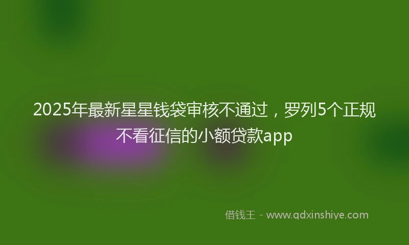 2025年最新星星钱袋审核不通过，罗列5个正规不看征信的小额贷款app