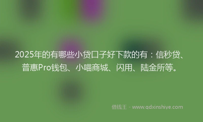 2025年的有哪些小贷口子好下款的有：信秒贷、普惠Pro钱包、小喵商城、闪用、陆金所等。