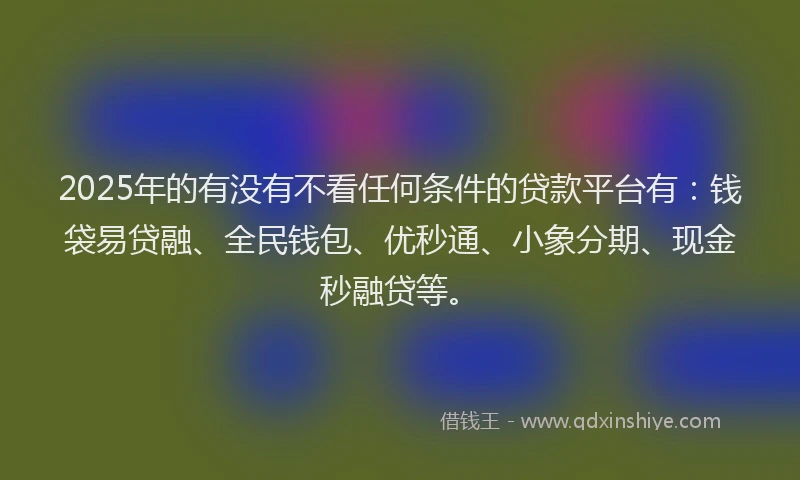 2025年的有没有不看任何条件的贷款平台有：钱袋易贷融、全民钱包、优秒通、小象分期、现金秒融贷等。