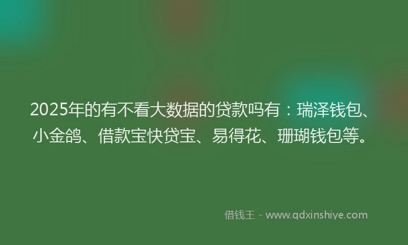 2025年的有不看大数据的贷款吗有：瑞泽钱包、小金鸽、借款宝快贷宝、易得花、珊瑚钱包等。