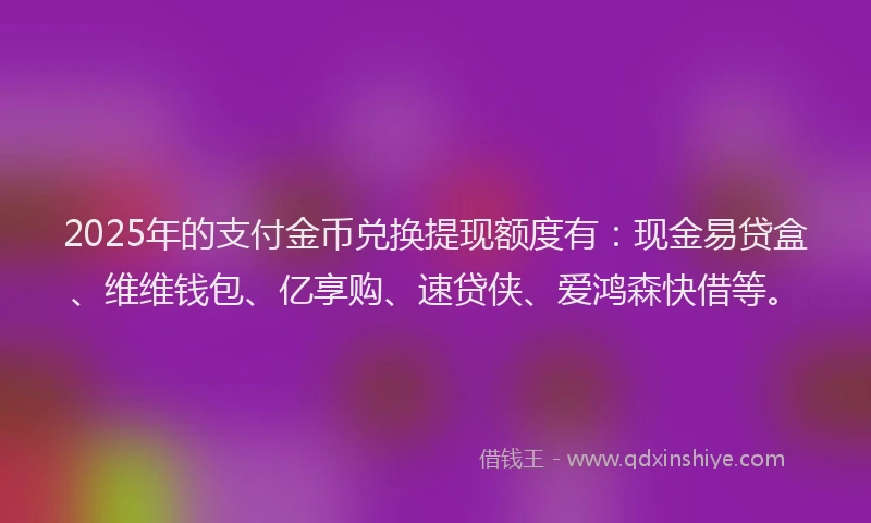 2025年的支付金币兑换提现额度有：现金易贷盒、维维钱包、亿享购、速贷侠、爱鸿森快借等。
