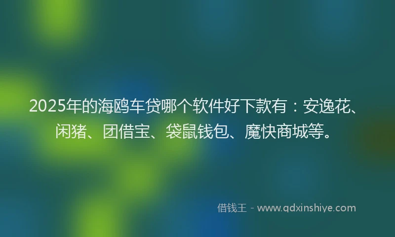 2025年的海鸥车贷哪个软件好下款有：安逸花、闲猪、团借宝、袋鼠钱包、魔快商城等。