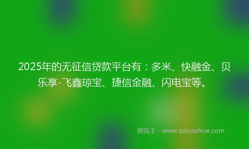 2025年的无征信贷款平台有：多米、快融金、贝乐享-飞鑫琼宝、捷信金融、闪电宝等。