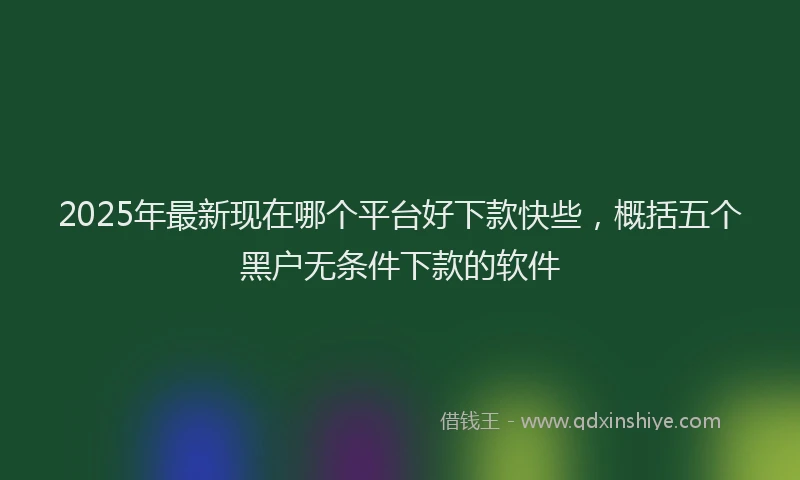 2025年最新现在哪个平台好下款快些，概括五个黑户无条件下款的软件