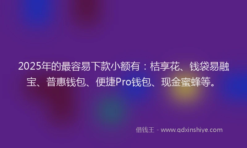 2025年的最容易下款小额有：桔享花、钱袋易融宝、普惠钱包、便捷Pro钱包、现金蜜蜂等。