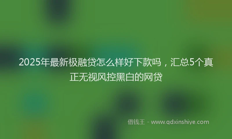2025年最新极融贷怎么样好下款吗，汇总5个真正无视风控黑白的网贷