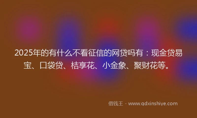 2025年的有什么不看征信的网贷吗有：现金贷易宝、口袋贷、桔享花、小金象、聚财花等。
