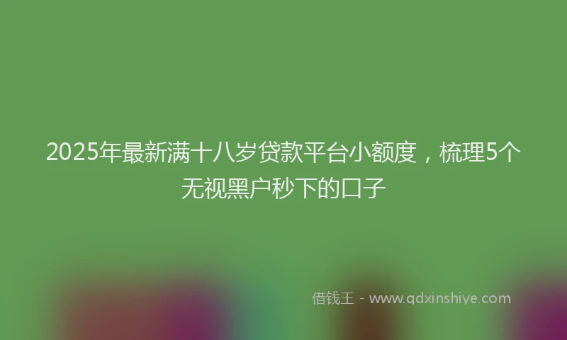 2025年最新满十八岁贷款平台小额度，梳理5个无视黑户秒下的口子