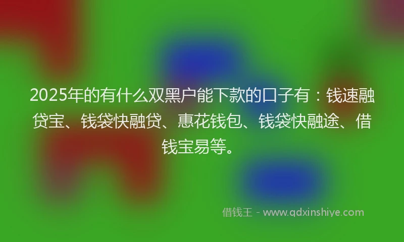 2025年的有什么双黑户能下款的口子有：钱速融贷宝、钱袋快融贷、惠花钱包、钱袋快融途、借钱宝易等。