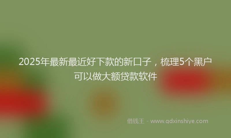 2025年最新最近好下款的新口子，梳理5个黑户可以做大额贷款软件