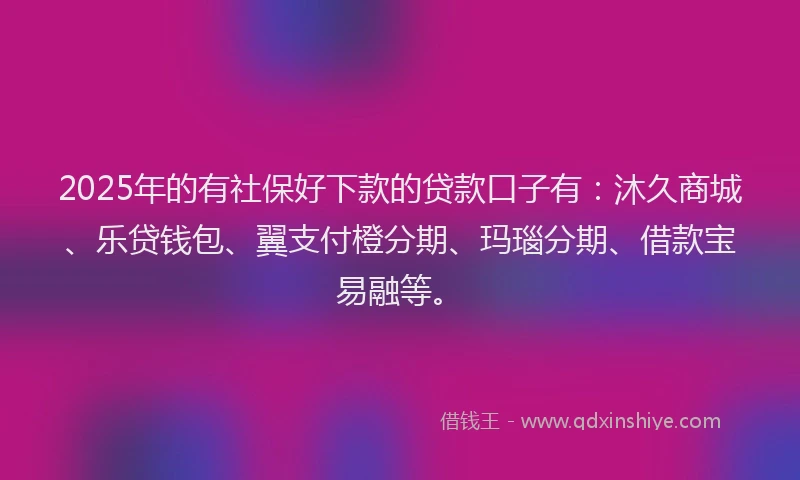 2025年的有社保好下款的贷款口子有：沐久商城、乐贷钱包、翼支付橙分期、玛瑙分期、借款宝易融等。