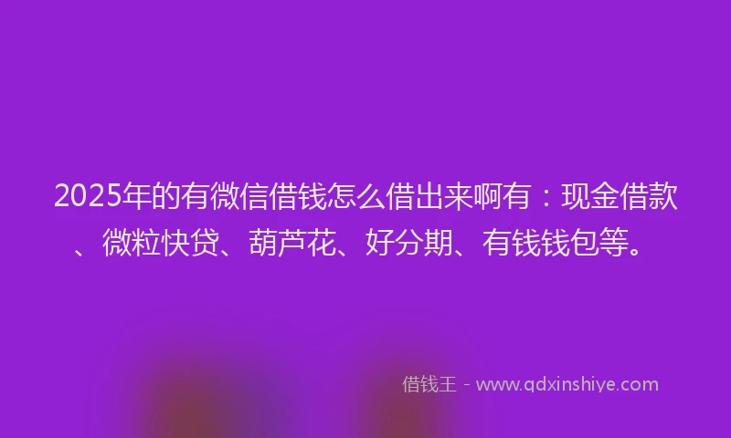2025年的有微信借钱怎么借出来啊有：现金借款、微粒快贷、葫芦花、好分期、有钱钱包等。