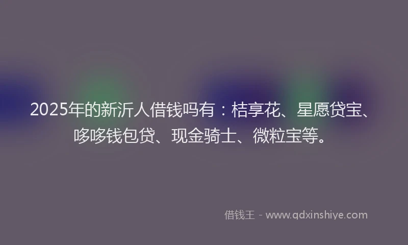 2025年的新沂人借钱吗有：桔享花、星愿贷宝、哆哆钱包贷、现金骑士、微粒宝等。