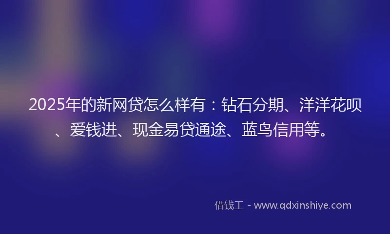2025年的新网贷怎么样有：钻石分期、洋洋花呗、爱钱进、现金易贷通途、蓝鸟信用等。