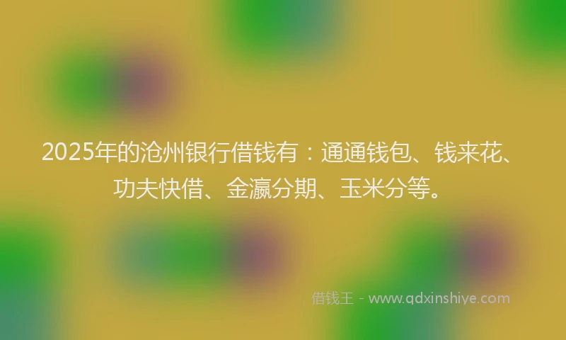 2025年的沧州银行借钱有：通通钱包、钱来花、功夫快借、金瀛分期、玉米分等。
