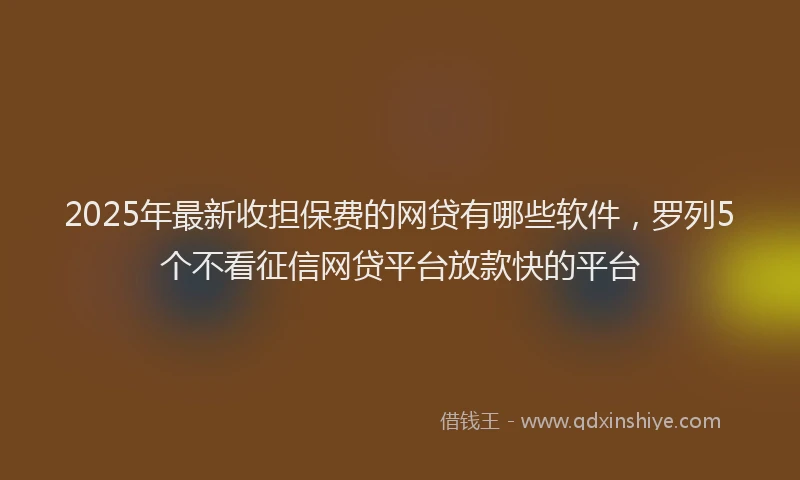 2025年最新收担保费的网贷有哪些软件，罗列5个不看征信网贷平台放款快的平台