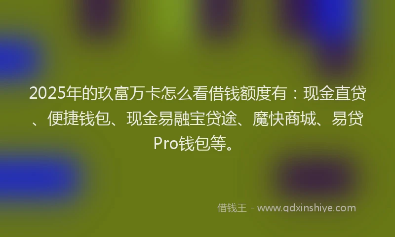 2025年的玖富万卡怎么看借钱额度有：现金直贷、便捷钱包、现金易融宝贷途、魔快商城、易贷Pro钱包等。