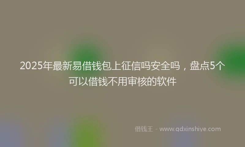 2025年最新易借钱包上征信吗安全吗，盘点5个可以借钱不用审核的软件