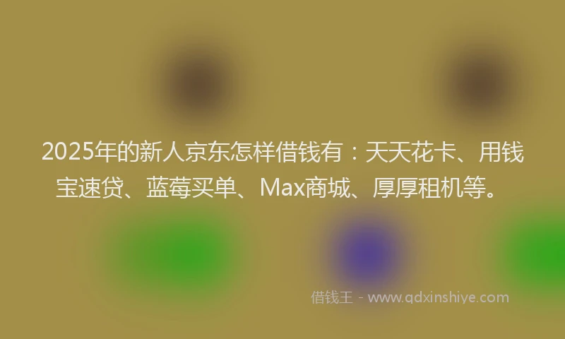 2025年的新人京东怎样借钱有：天天花卡、用钱宝速贷、蓝莓买单、Max商城、厚厚租机等。