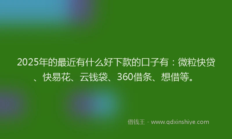 2025年的最近有什么好下款的口子有：微粒快贷、快易花、云钱袋、360借条、想借等。