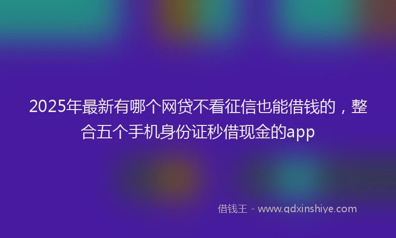 2025年最新有哪个网贷不看征信也能借钱的，整合五个手机身份证秒借现金的app