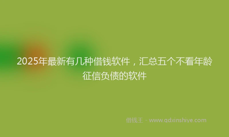 2025年最新有几种借钱软件，汇总五个不看年龄征信负债的软件